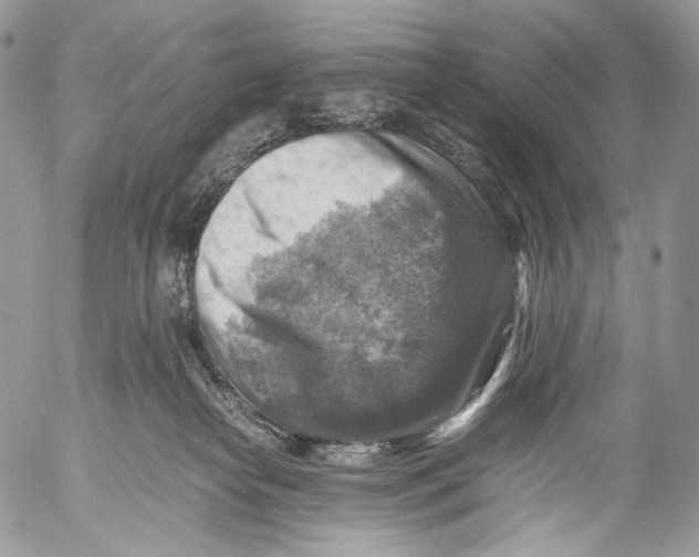 X0000053050182200508081138