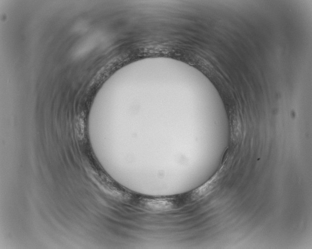 X0000053050183200508081138