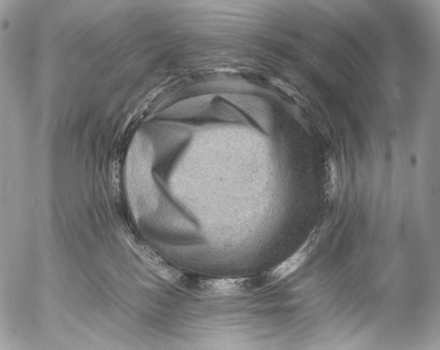 X0000053050184200508081138