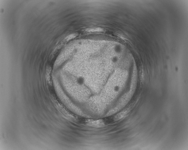 X0000053050185200508081138