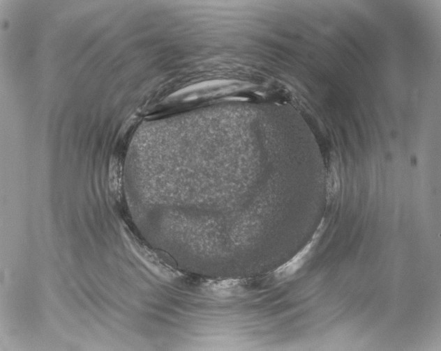 X0000053050186200508081138