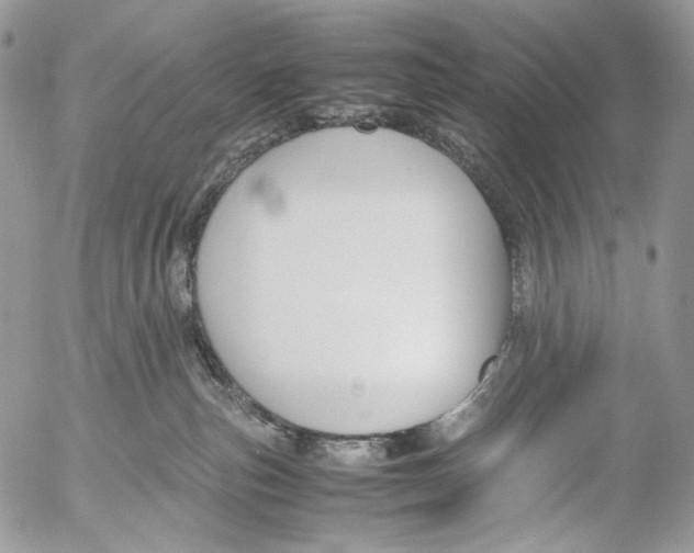 X0000053050187200508081138