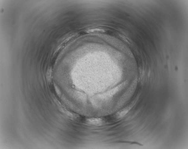 X0000053050189200508081138