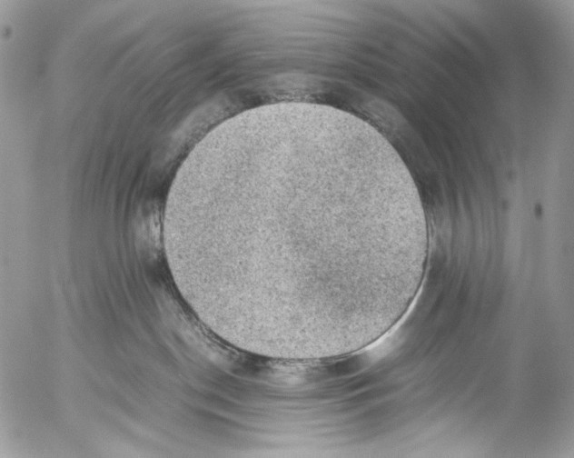 X0000053050190200508081138