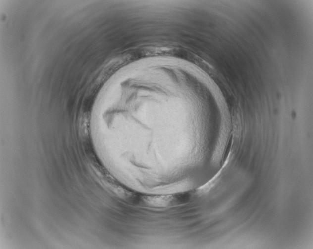 X0000053050191200508081138