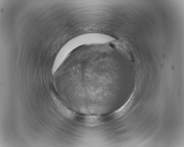 X0000053050192200508081138