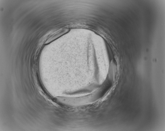 X0000053050193200508081137