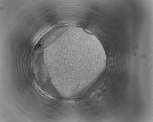 X0000053050194200508081137