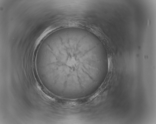 X0000053050195200508081137