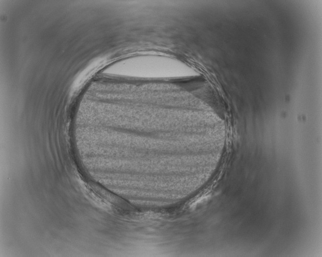 X0000053050197200508081137