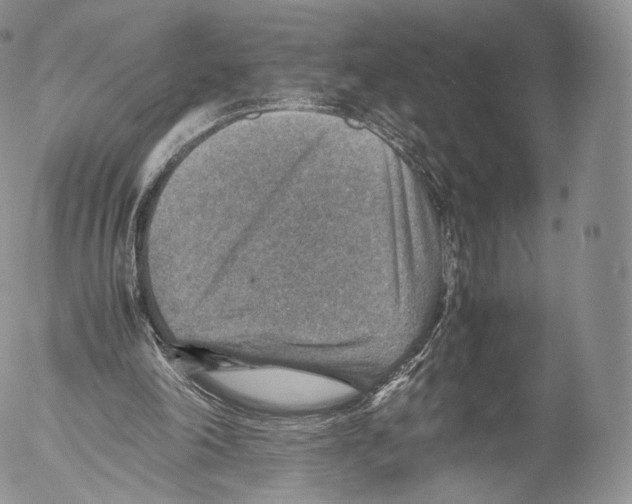 X0000053050198200508081137