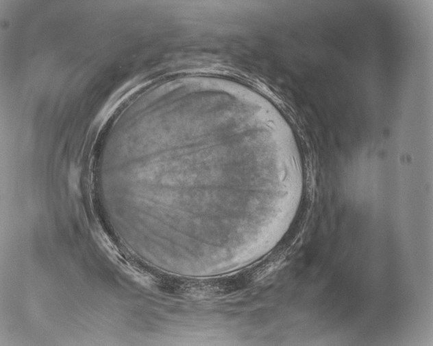 X0000053050199200508081137