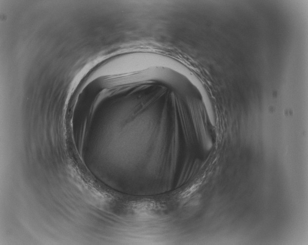 X0000053050200200508081137