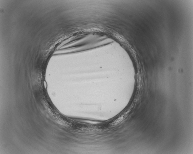 X0000053050201200508081137