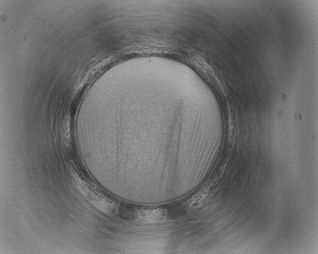 X0000053050202200508081137