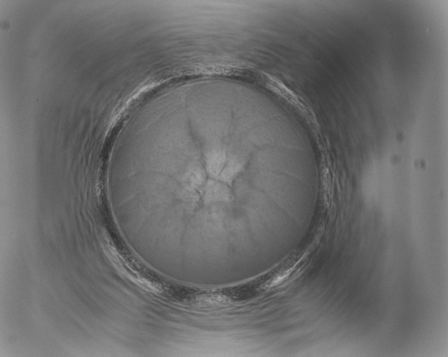 X0000053050203200508081137