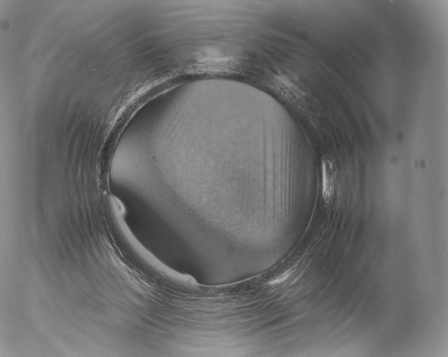 X0000053050204200508081137