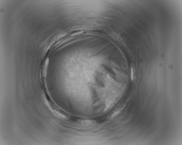 X0000053050205200508081137