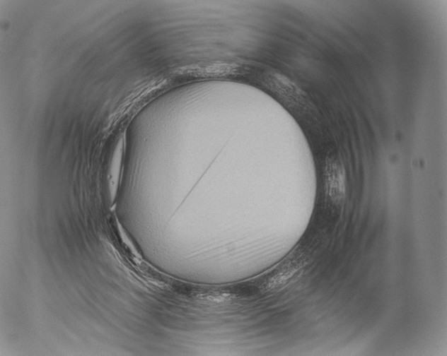 X0000053050206200508081137