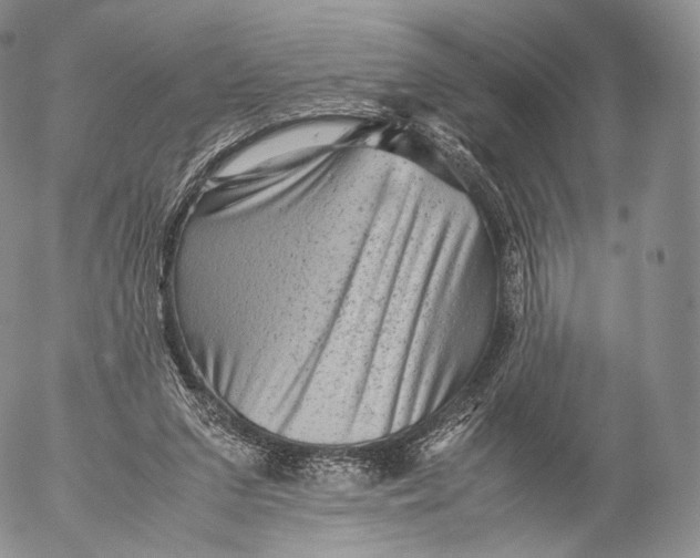 X0000053050207200508081137