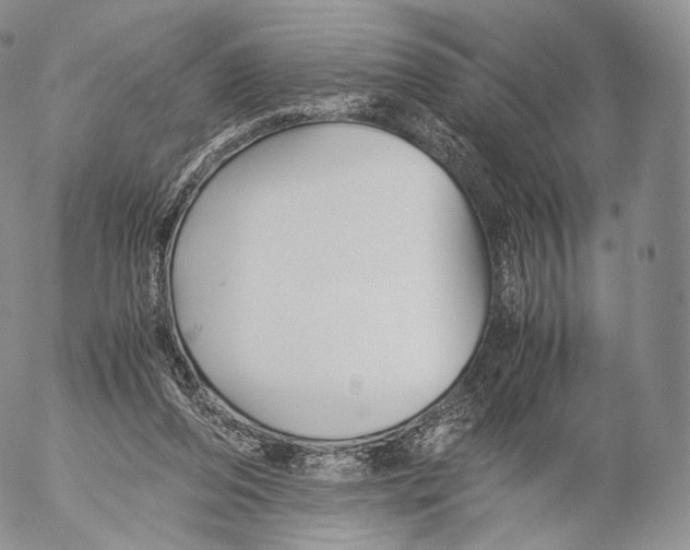 X0000053050208200508081137