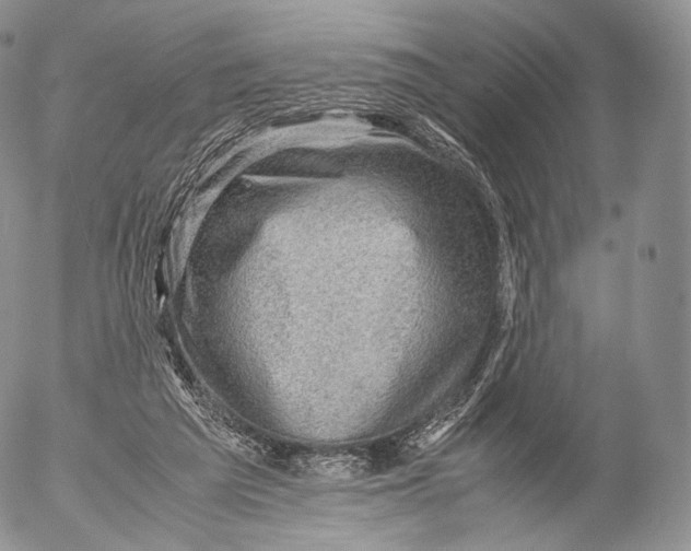 X0000053050209200508081137