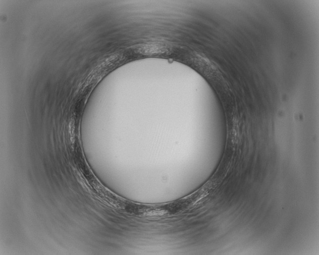 X0000053050210200508081137