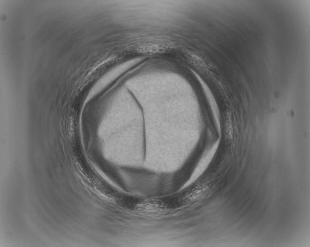 X0000053050211200508081137