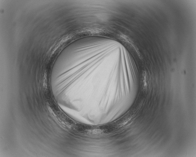 X0000053050212200508081137