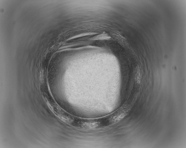 X0000053050213200508081137