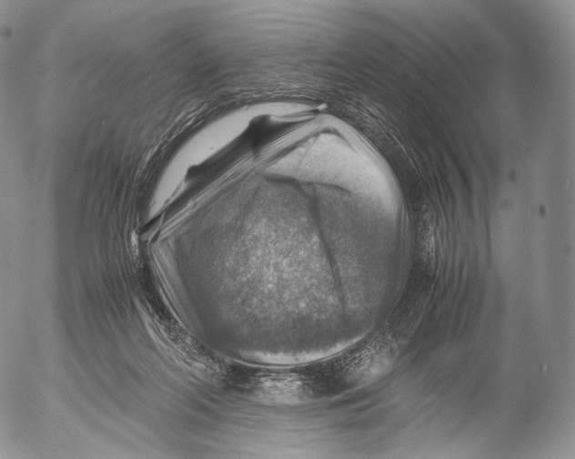 X0000053050214200508081137