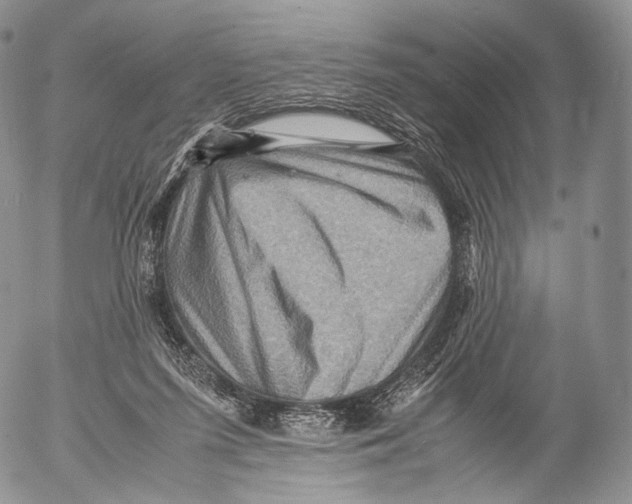 X0000053050215200508081137