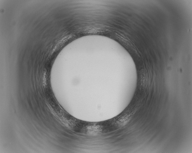 X0000053050216200508081137