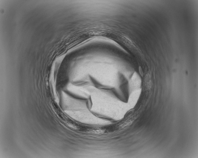 X0000053050217200508081137