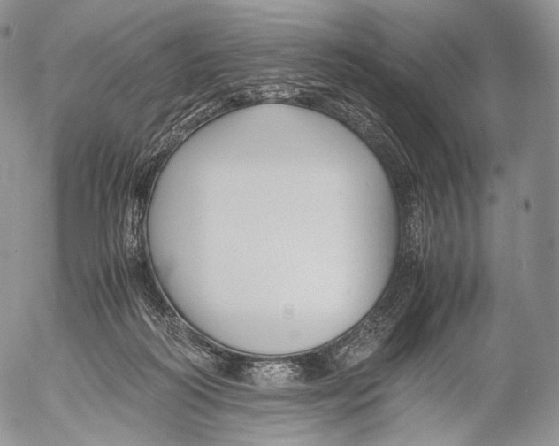 X0000053050218200508081137