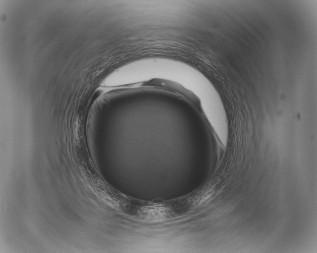 X0000053050219200508081137