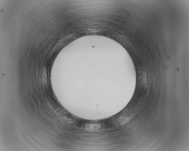 X0000053050220200508081137