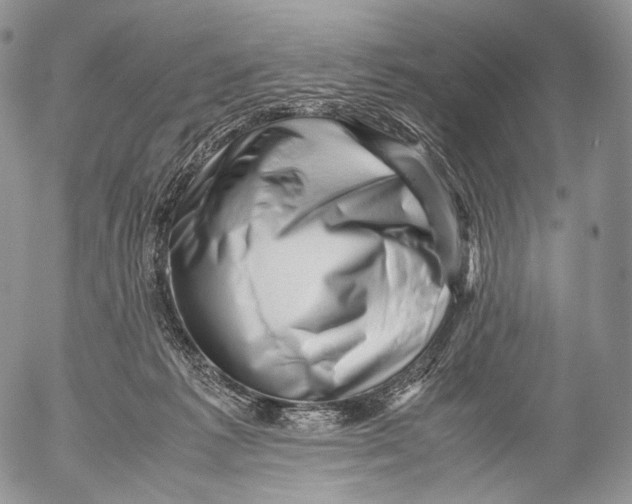 X0000053050221200508081137