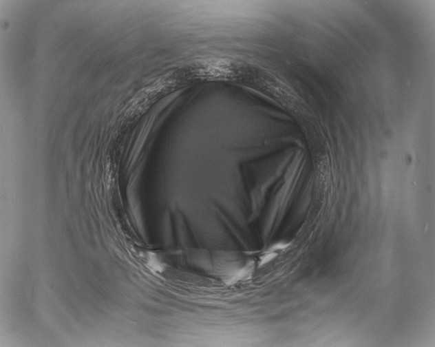 X0000053050223200508081137