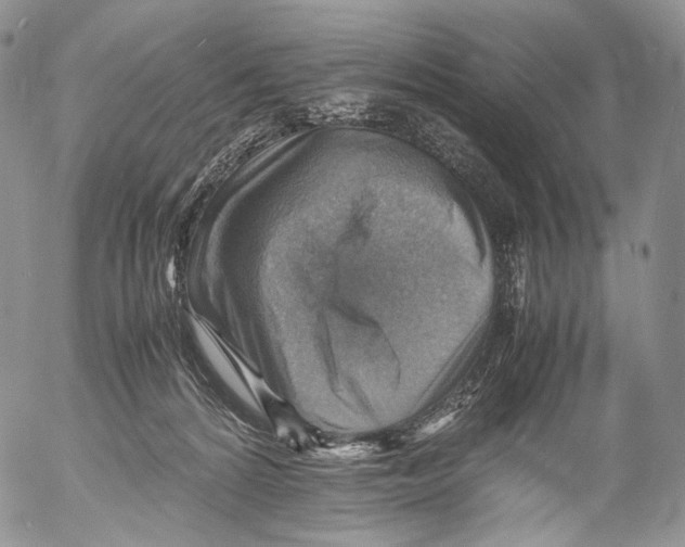 X0000053050224200508081137