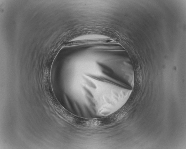 X0000053050225200508081137