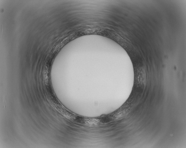 X0000053050226200508081137