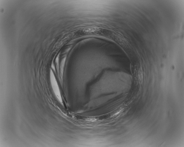 X0000053050227200508081136