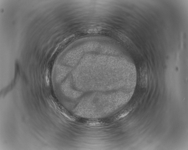 X0000053050228200508081136