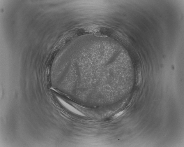 X0000053050229200508081136