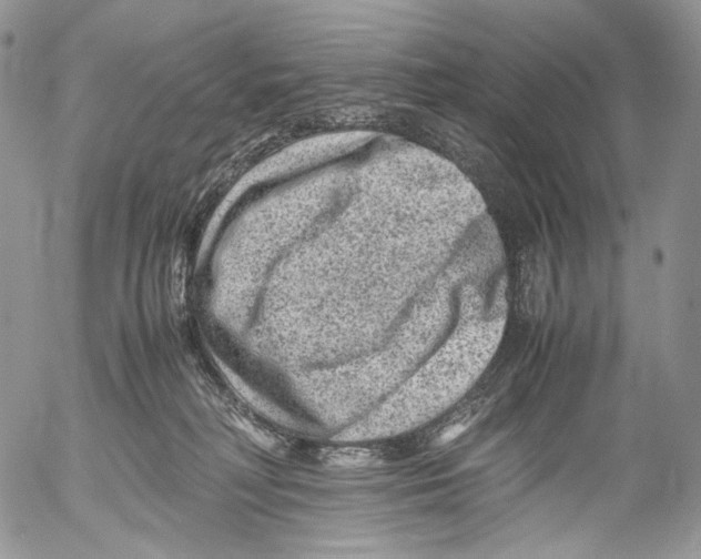 X0000053050230200508081136