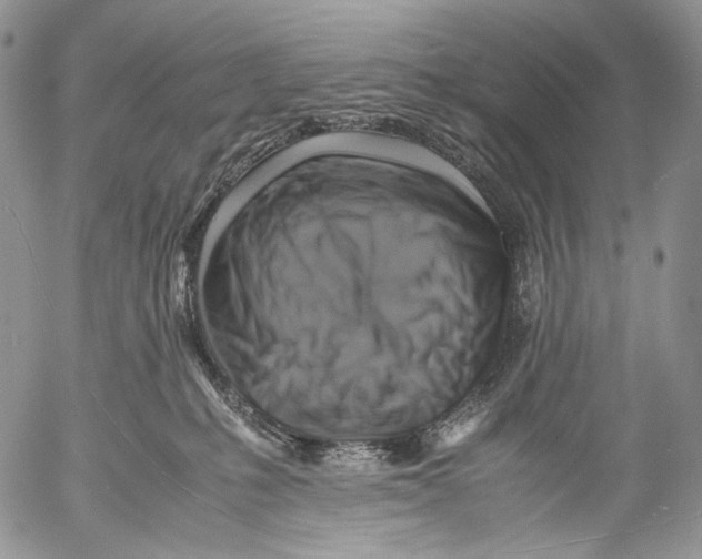 X0000053050231200508081136