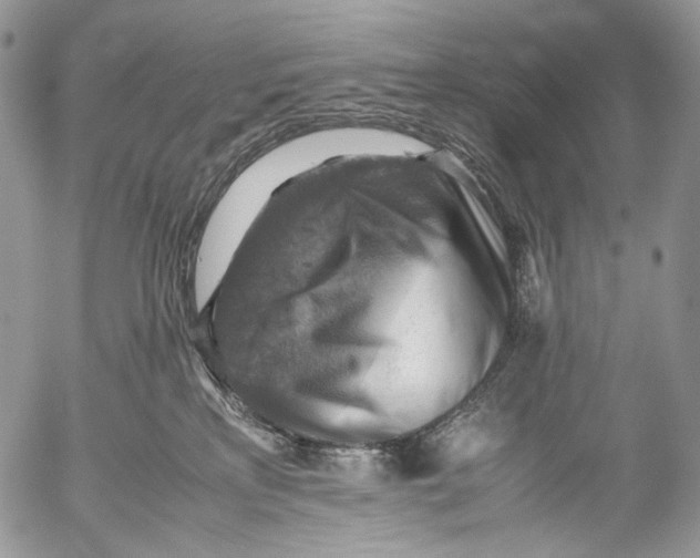 X0000053050233200508081136