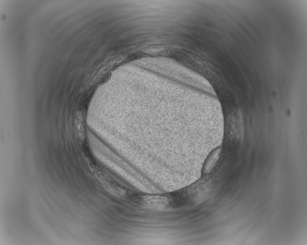 X0000053050234200508081136