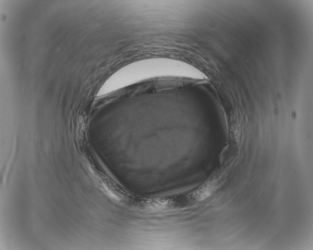 X0000053050235200508081136